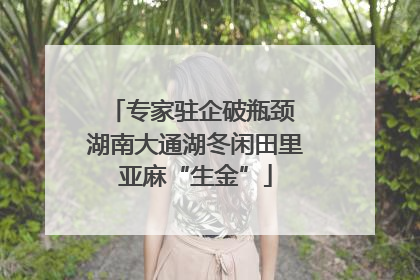 专家驻企破瓶颈 湖南大通湖冬闲田里亚麻“生金”