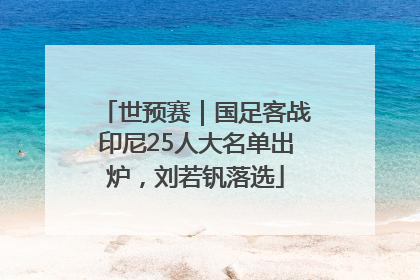 世预赛｜国足客战印尼25人大名单出炉，刘若钒落选