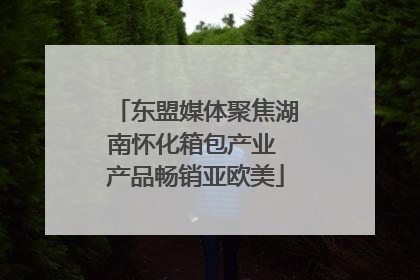 东盟媒体聚焦湖南怀化箱包产业 产品畅销亚欧美