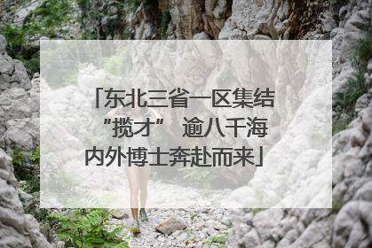东北三省一区集结“揽才” 逾八千海内外博士奔赴而来