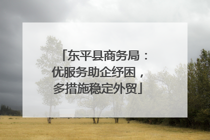 东平县商务局：优服务助企纾困，多措施稳定外贸