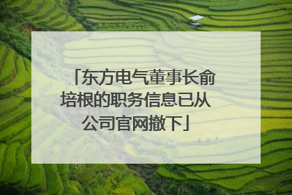 东方电气董事长俞培根的职务信息已从公司官网撤下