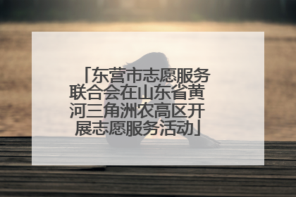 东营市志愿服务联合会在山东省黄河三角洲农高区开展志愿服务活动