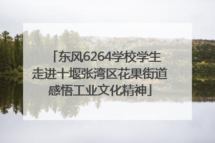 东风6264学校学生走进十堰张湾区花果街道感悟工业文化精神