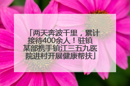 两天奔波千里，累计接待400余人！驻镇某部携手镇江三五九医院进村开展健康帮扶