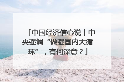 中国经济信心说丨中央强调“做强国内大循环”，有何深意？