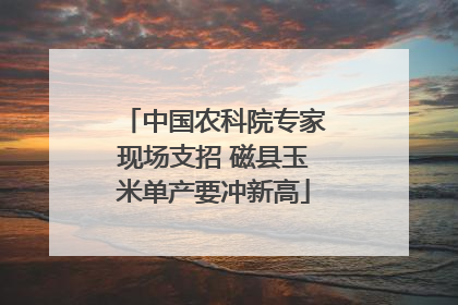 中国农科院专家现场支招 磁县玉米单产要冲新高