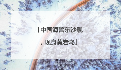 中国海警东沙舰，现身黄岩岛