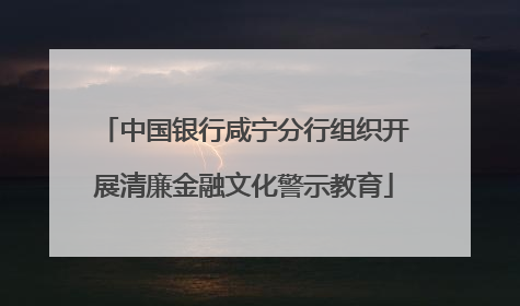 中国银行咸宁分行组织开展清廉金融文化警示教育