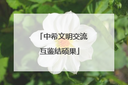 中希文明交流互鉴结硕果