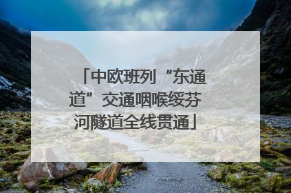 中欧班列“东通道”交通咽喉绥芬河隧道全线贯通