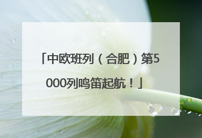 中欧班列（合肥）第5000列鸣笛起航！