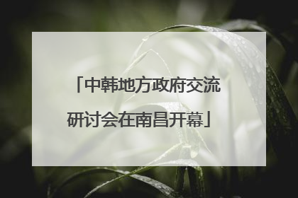 中韩地方政府交流研讨会在南昌开幕