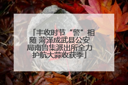 丰收时节“警”相随 菏泽成武县公安局南鲁集派出所全力护航大蒜收获季