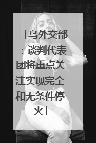 乌外交部：谈判代表团将重点关注实现完全和无条件停火