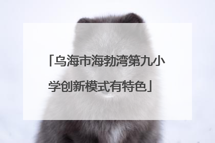 乌海市海勃湾第九小学创新模式有特色