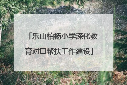 乐山柏杨小学深化教育对口帮扶工作建设