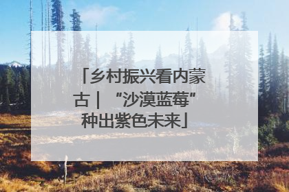 乡村振兴看内蒙古｜“沙漠蓝莓”种出紫色未来