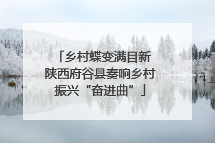 乡村蝶变满目新 陕西府谷县奏响乡村振兴“奋进曲”