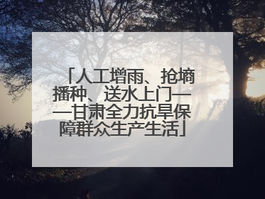 人工增雨、抢墒播种、送水上门——甘肃全力抗旱保障群众生产生活