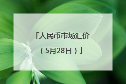 人民币市场汇价（5月28日）