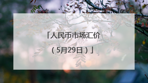 人民币市场汇价（5月29日）