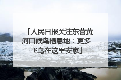人民日报关注东营黄河口候鸟栖息地：更多飞鸟在这里安家