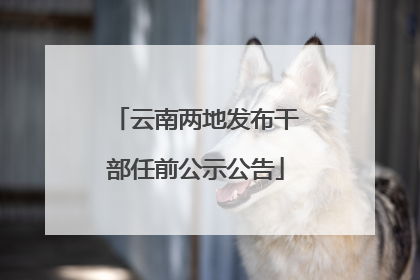 云南两地发布干部任前公示公告