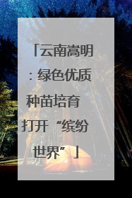 云南嵩明：绿色优质种苗培育 打开“缤纷世界”
