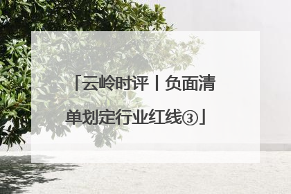云岭时评丨负面清单划定行业红线③