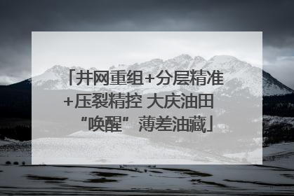 井网重组+分层精准+压裂精控 大庆油田“唤醒”薄差油藏
