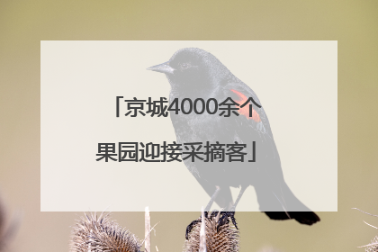 京城4000余个果园迎接采摘客