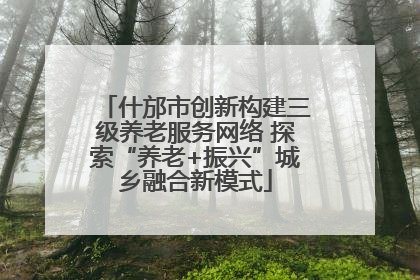 什邡市创新构建三级养老服务网络 探索“养老+振兴”城乡融合新模式