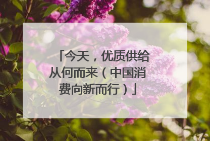 今天，优质供给从何而来（中国消费向新而行）