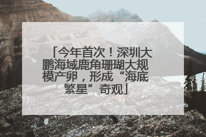 今年首次！深圳大鹏海域鹿角珊瑚大规模产卵，形成“海底繁星”奇观