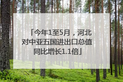 今年1至5月，河北对中亚五国进出口总值同比增长1.1倍