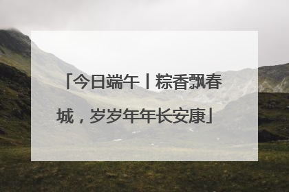 今日端午丨粽香飘春城，岁岁年年长安康