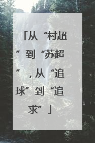从“村超”到“苏超”，从“追球”到“追求”
