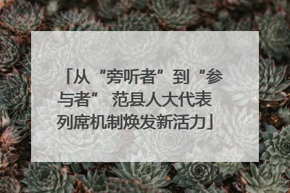 从“旁听者”到“参与者” 范县人大代表列席机制焕发新活力