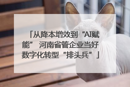 从降本增效到“AI赋能” 河南省管企业当好数字化转型“排头兵”