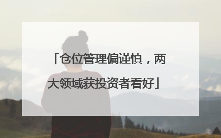 仓位管理偏谨慎，两大领域获投资者看好