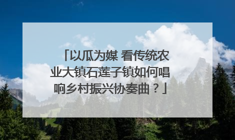 以瓜为媒 看传统农业大镇石莲子镇如何唱响乡村振兴协奏曲？