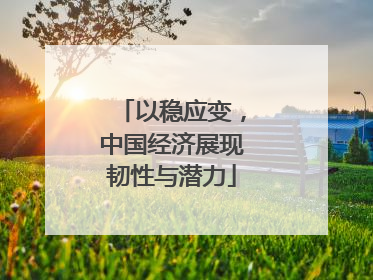 以稳应变，中国经济展现韧性与潜力