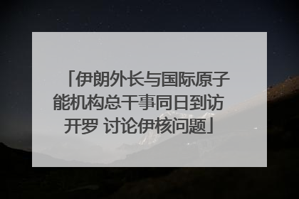 伊朗外长与国际原子能机构总干事同日到访开罗 讨论伊核问题