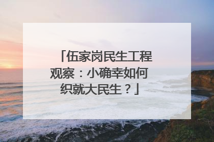 伍家岗民生工程观察：小确幸如何织就大民生？
