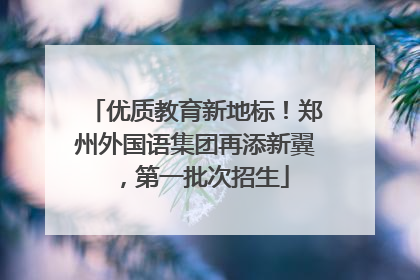 优质教育新地标！郑州外国语集团再添新翼，第一批次招生