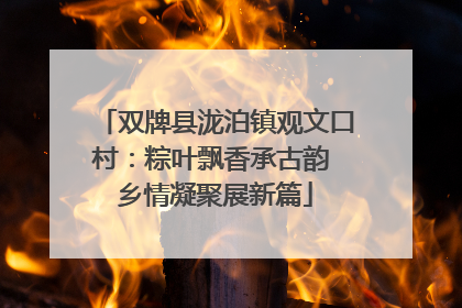 双牌县泷泊镇观文口村：粽叶飘香承古韵 乡情凝聚展新篇