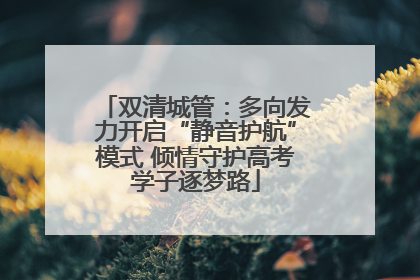 双清城管：多向发力开启“静音护航”模式 倾情守护高考学子逐梦路