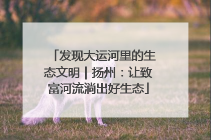 发现大运河里的生态文明｜扬州：让致富河流淌出好生态