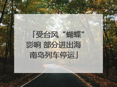 受台风“蝴蝶”影响 部分进出海南岛列车停运
